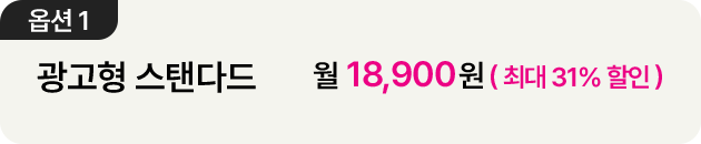 더블 스트리밍 연간권 옵션1