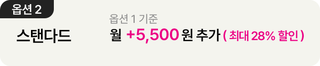 더블 스트리밍 연간권 옵션2