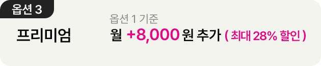 더블 스트리밍 연간권 옵션3