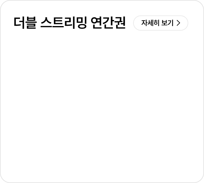 더블 스트리밍 연간권 옵션1