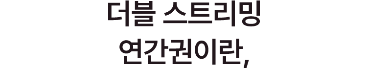 더블 스트리밍 연간권