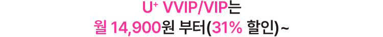 더블 스트리밍 연간권