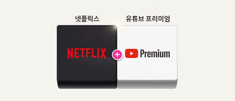 더블 스트리밍 연간권