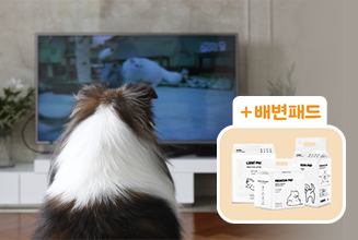 해피독TV 정기구독권  + 배변패드 결합상품