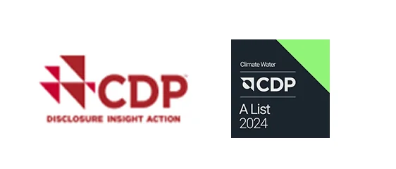 CDP A 등급 로고