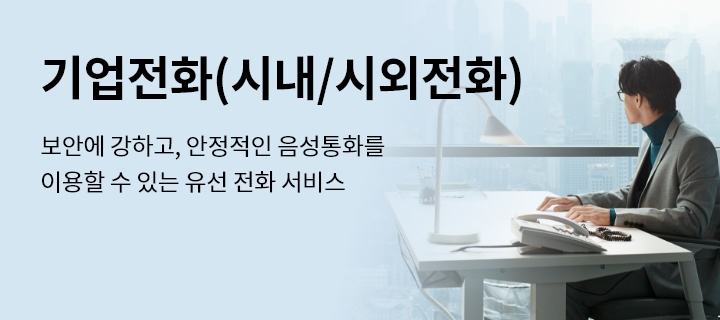 기업(시내/시외전화), 보안에 강하고, 안정적인 음성통화를 이용할 수 있는 유선 전화 서비스