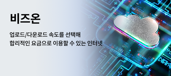 업로드/다운로드 속도를 선택해 합리적인 요금으로 이용할 수 있는 인터넷