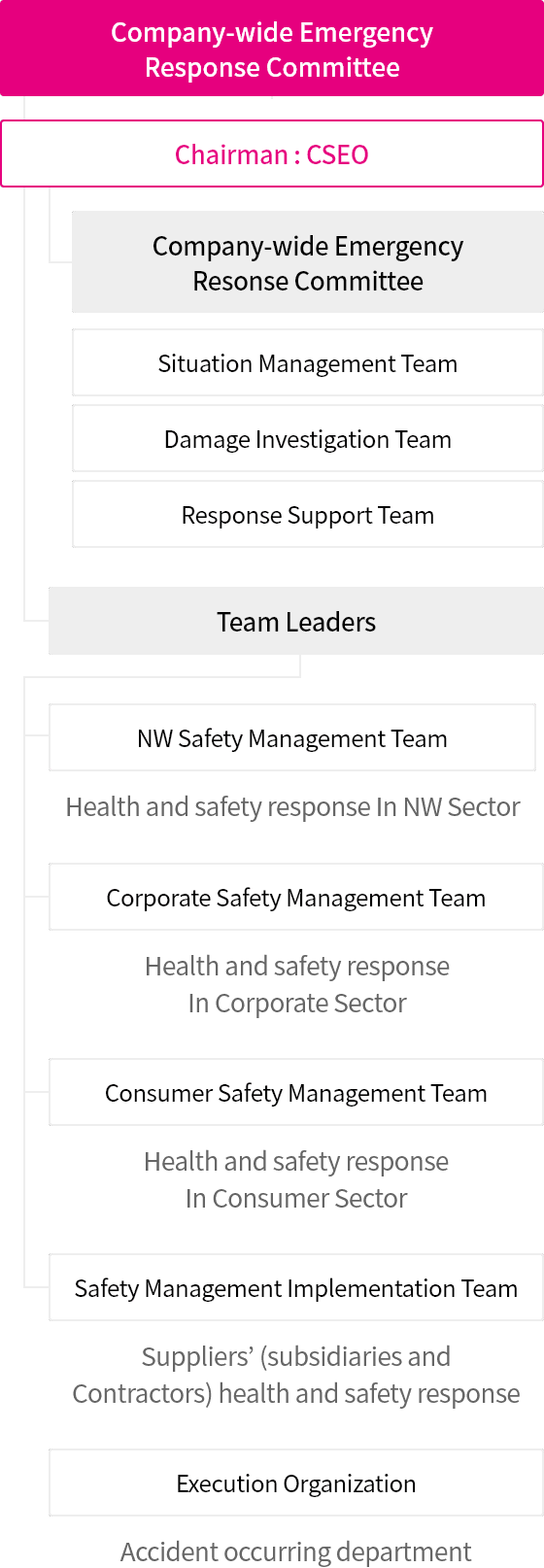 Company's Safety and Health Management System