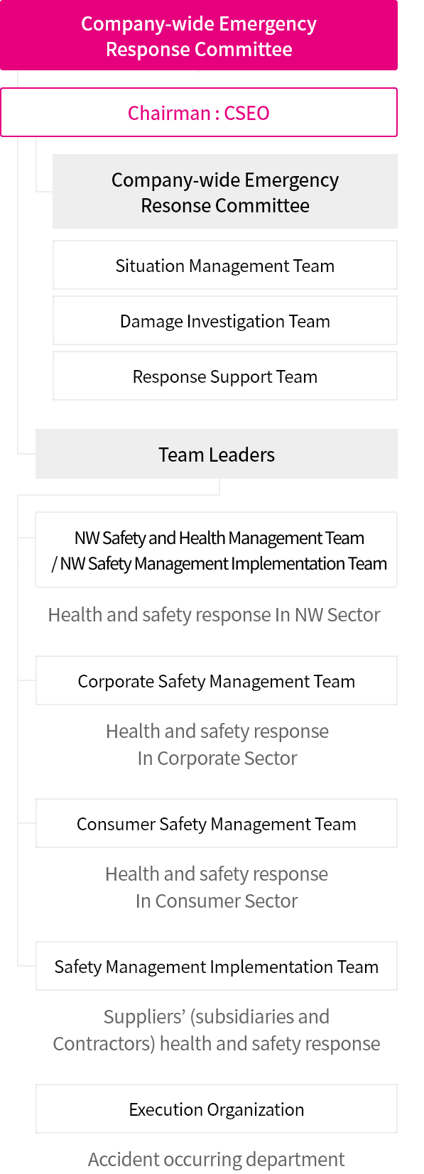 Company's Safety and Health Management System